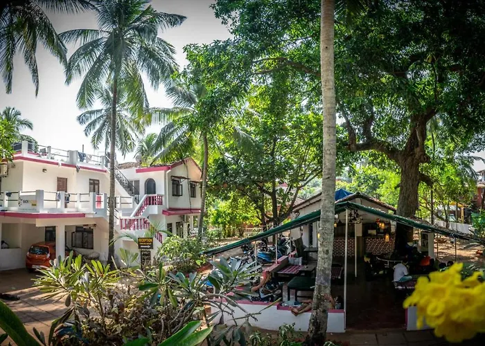 Backpacker Panda GoaHostel